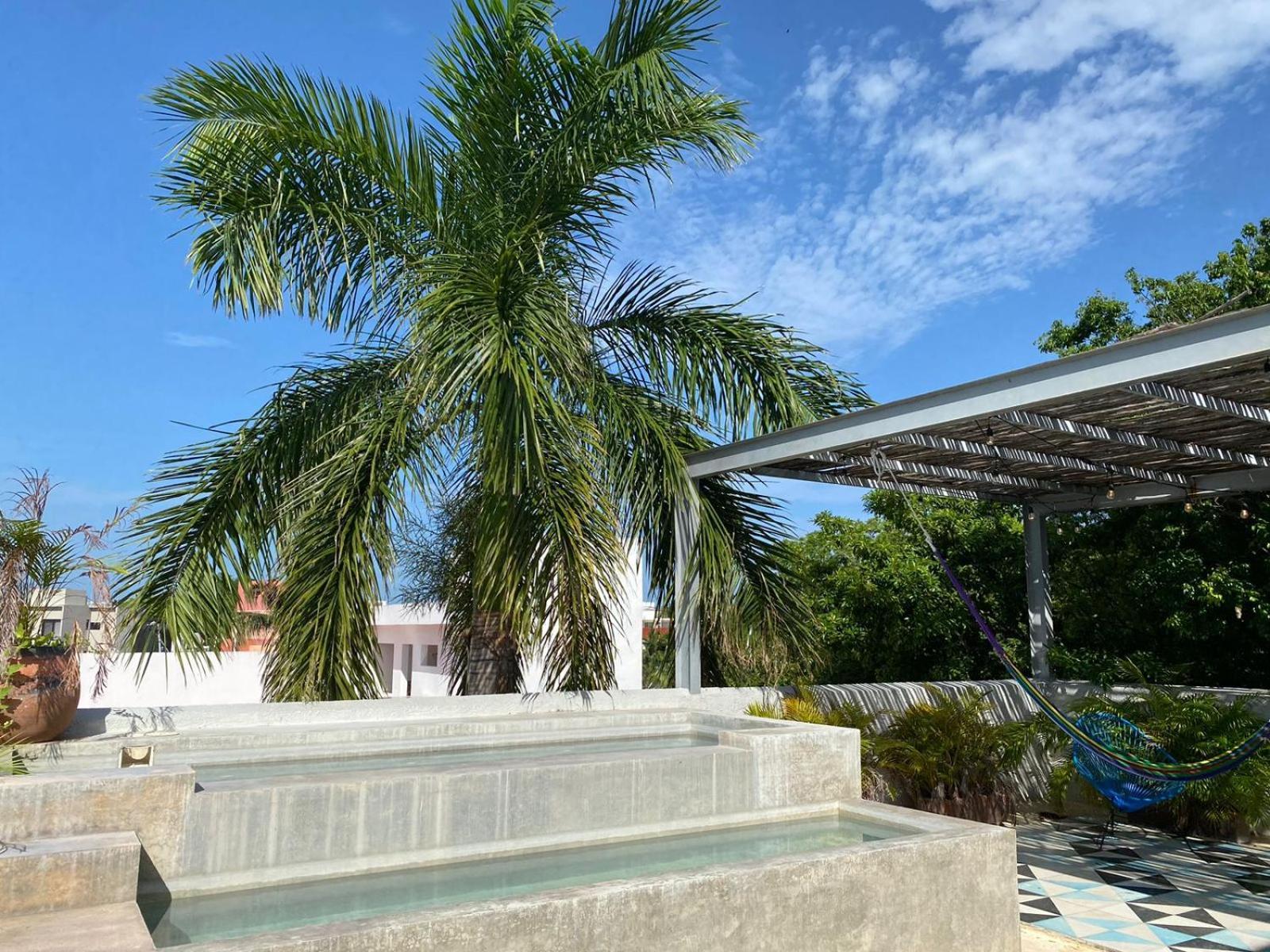 Studios Downtown Cancún Kültér fotó